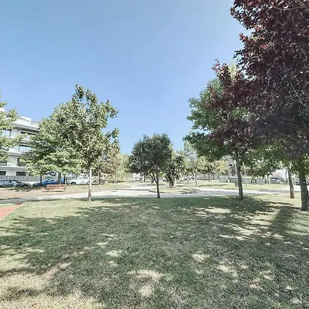 Decanelas * סנשנשו